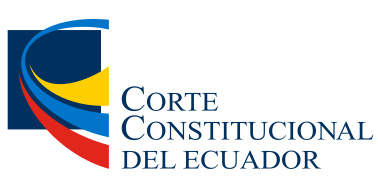 logo constitución